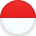Indonesia Arrival Card